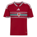 Wales World Cup 2026 Jersey
