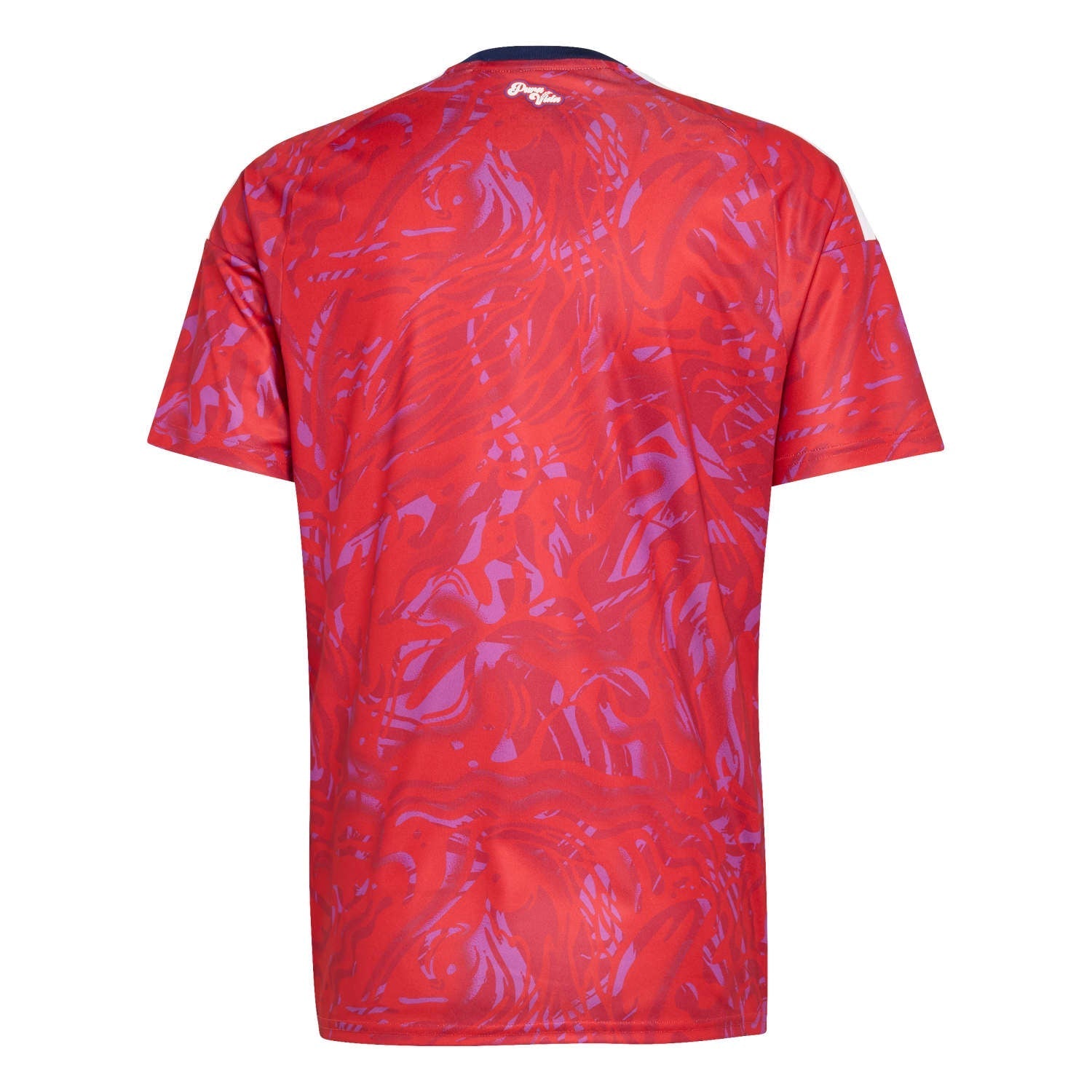 Costa Rica World Cup 2026 Jersey back view