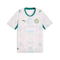 Senegal World Cup 2026 Jersey