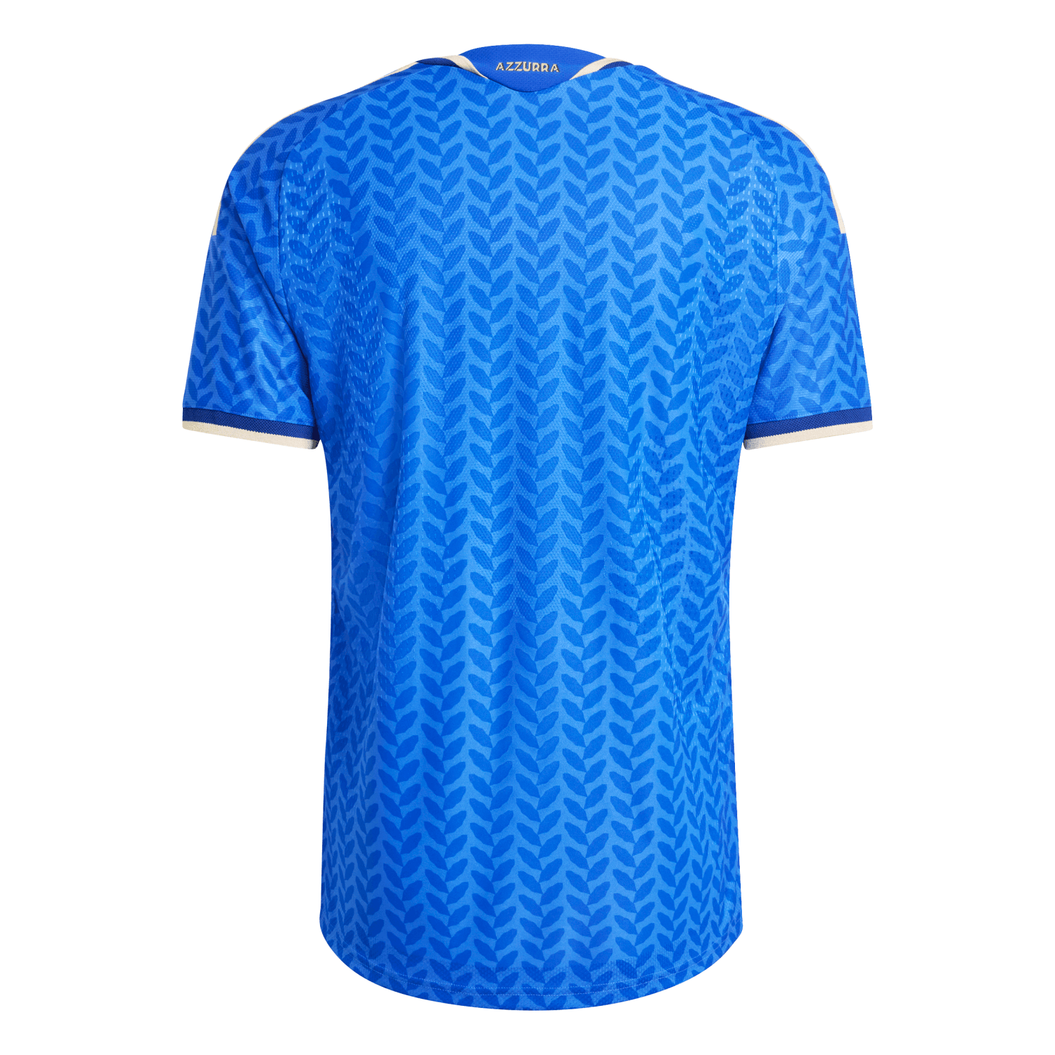 Italy World Cup 2026 Jersey back view
