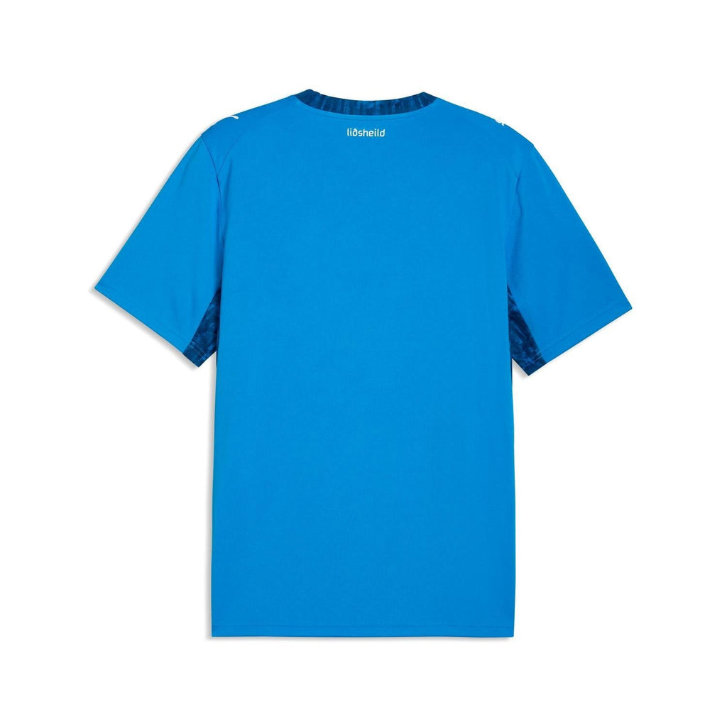 Iceland World Cup 2026 Jersey back view