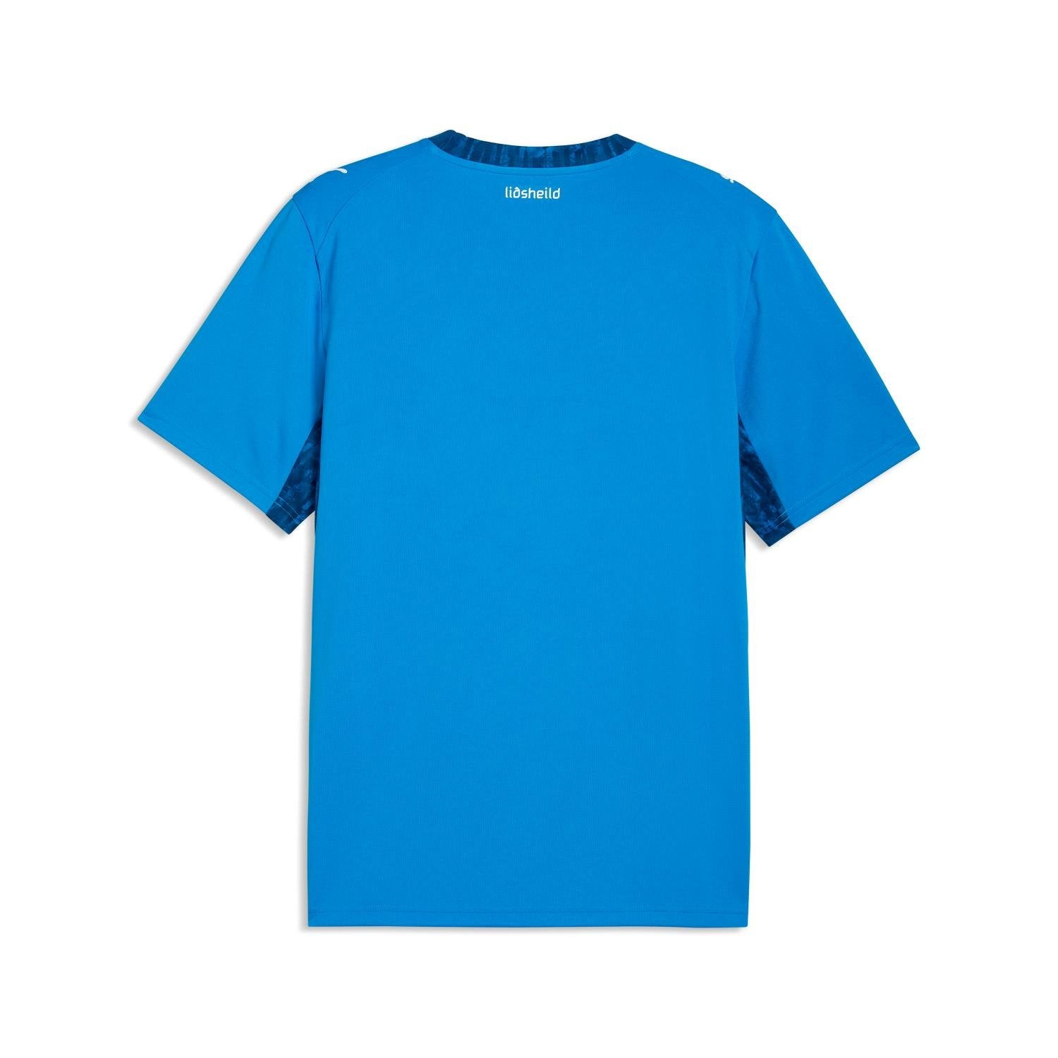 Iceland World Cup 2026 Jersey back view